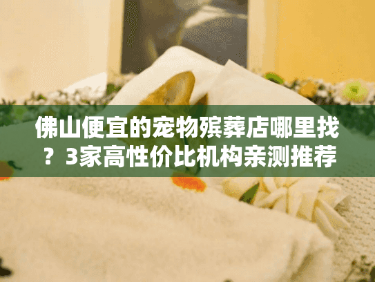 佛山便宜的宠物殡葬店哪里找？3家高性价比机构亲测推荐