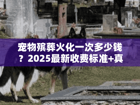 宠物殡葬火化一次多少钱？2025最新收费标准+真实案例揭秘