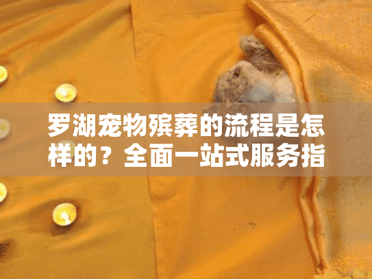 罗湖宠物殡葬的流程是怎样的？全面一站式服务指南
