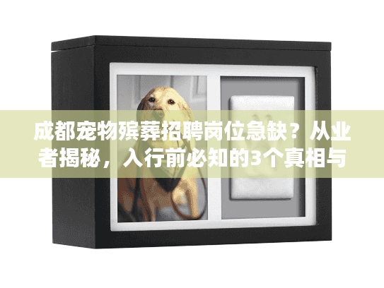 成都宠物殡葬招聘岗位急缺？从业者揭秘，入行前必知的3个真相与服务细节