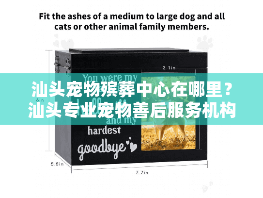 汕头宠物殡葬中心在哪里？汕头专业宠物善后服务机构位置指南
