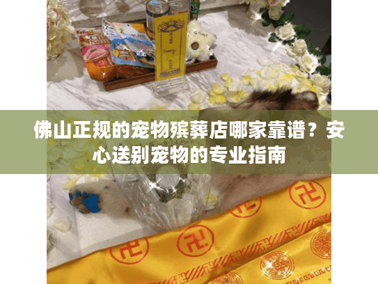 佛山正规的宠物殡葬店哪家靠谱？安心送别宠物的专业指南