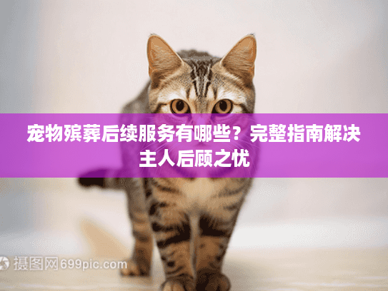 宠物殡葬后续服务有哪些？完整指南解决主人后顾之忧