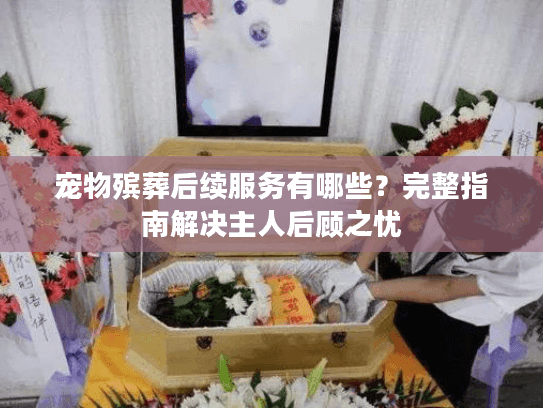 宠物殡葬后续服务有哪些？完整指南解决主人后顾之忧