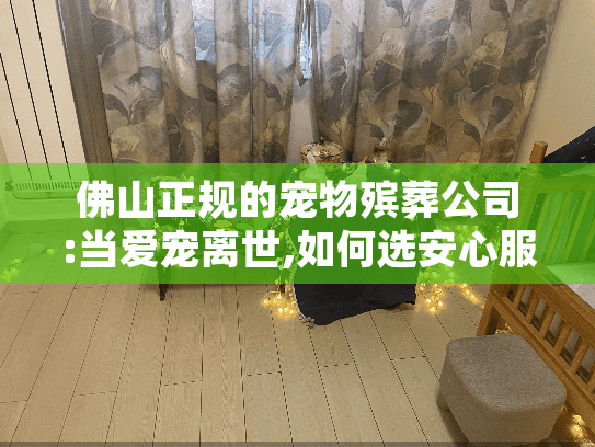 佛山正规的宠物殡葬公司:当爱宠离世,如何选安心服务?