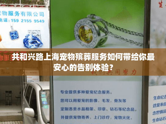 共和兴路上海宠物殡葬服务如何带给你最安心的告别体验？