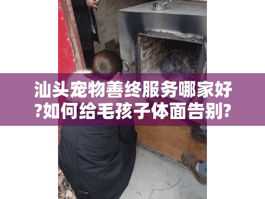 汕头宠物善终服务哪家好?如何给毛孩子体面告别?