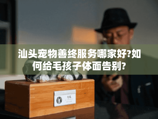 汕头宠物善终服务哪家好?如何给毛孩子体面告别?