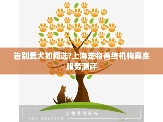 告别爱犬如何选?上海宠物善终机构真实服务测评