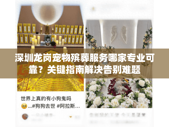 深圳龙岗宠物殡葬服务哪家专业可靠？关键指南解决告别难题