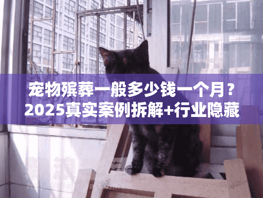 宠物殡葬一般多少钱一个月？2025真实案例拆解+行业隐藏收费揭秘