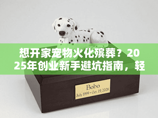 想开家宠物火化殡葬？2025年创业新手避坑指南，轻松启动专业服务