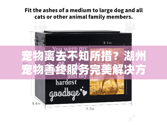 宠物离去不知所措？湖州宠物善终服务完美解决方案