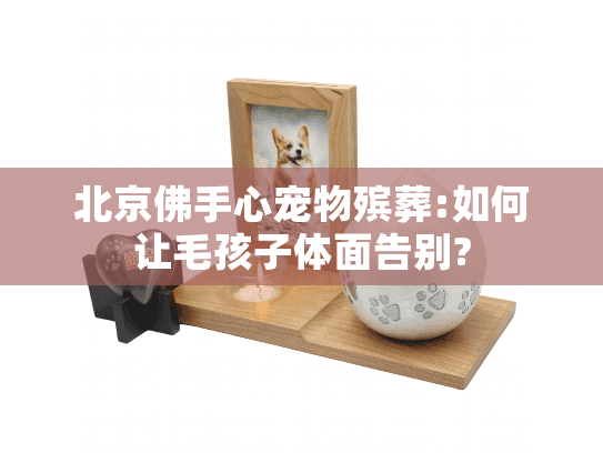 北京佛手心宠物殡葬:如何让毛孩子体面告别?