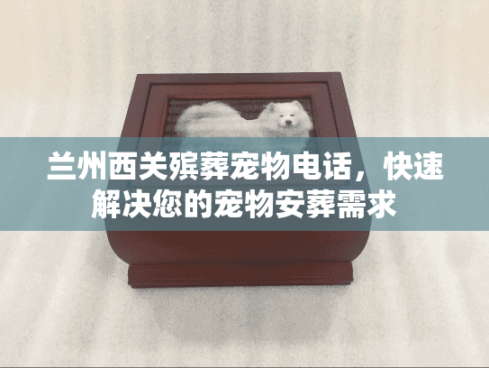 兰州西关殡葬宠物电话，快速解决您的宠物安葬需求