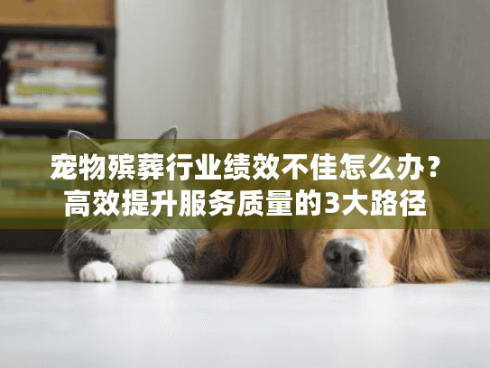 宠物殡葬行业绩效不佳怎么办？高效提升服务质量的3大路径