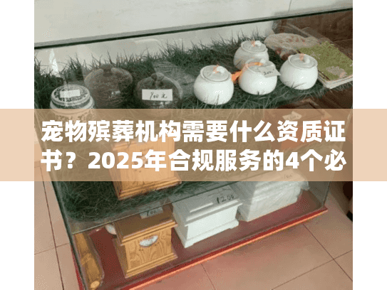 宠物殡葬机构需要什么资质证书？2025年合规服务的4个必备证件（附查询方法）