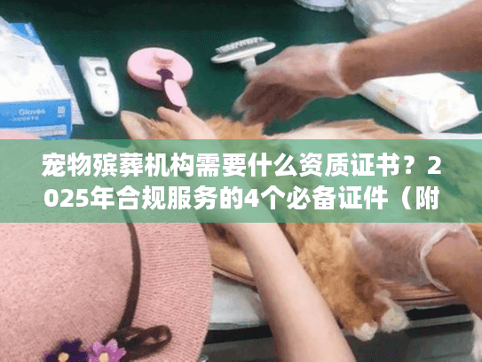 宠物殡葬机构需要什么资质证书？2025年合规服务的4个必备证件（附查询方法）