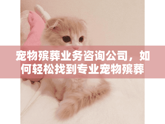 宠物殡葬业务咨询公司，如何轻松找到专业宠物殡葬服务？