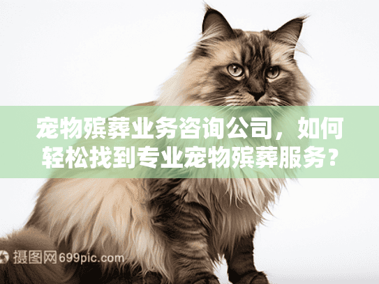 宠物殡葬业务咨询公司，如何轻松找到专业宠物殡葬服务？