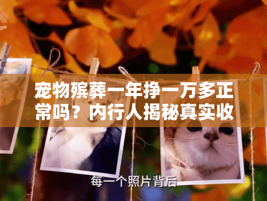 内行人揭秘真实收入与服务门道图片