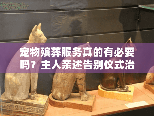 宠物殡葬服务真的有必要吗？主人亲述告别仪式治愈心路历程