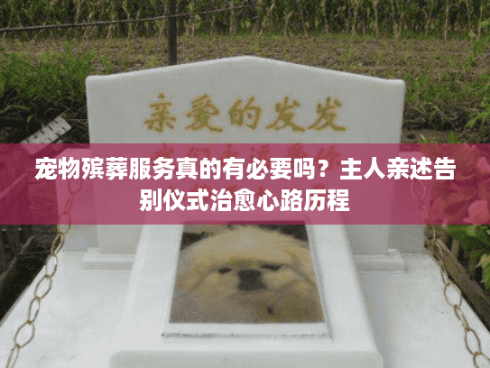 宠物殡葬服务真的有必要吗？主人亲述告别仪式治愈心路历程