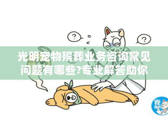 光明宠物殡葬业务咨询常见问题有哪些?专业解答助你告别迷茫