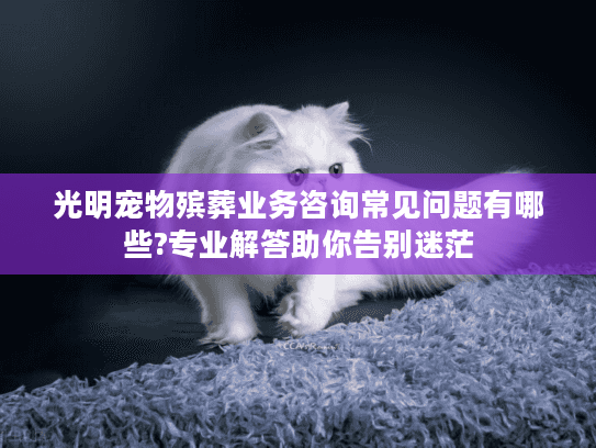 光明宠物殡葬业务咨询常见问题有哪些?专业解答助你告别迷茫