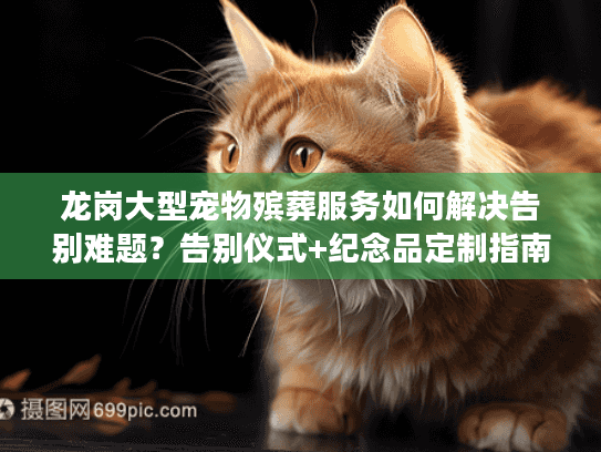 龙岗大型宠物殡葬服务如何解决告别难题？告别仪式+纪念品定制指南