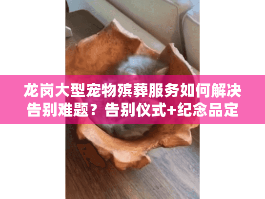 龙岗大型宠物殡葬服务如何解决告别难题？告别仪式+纪念品定制指南