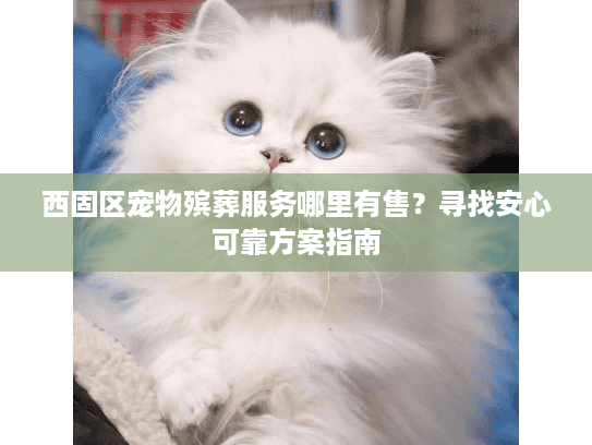 西固区宠物殡葬服务哪里有售？寻找安心可靠方案指南