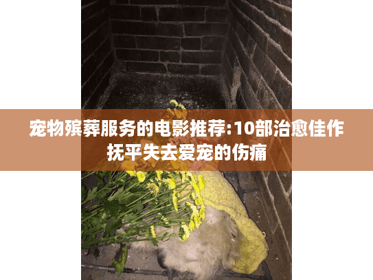 宠物殡葬服务的电影推荐:10部治愈佳作抚平失去爱宠的伤痛
