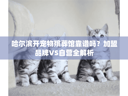 哈尔滨开宠物殡葬馆靠谱吗？加盟品牌VS自营全解析