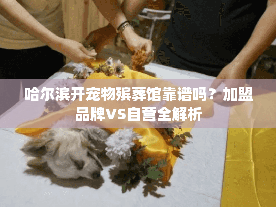 哈尔滨开宠物殡葬馆靠谱吗？加盟品牌VS自营全解析