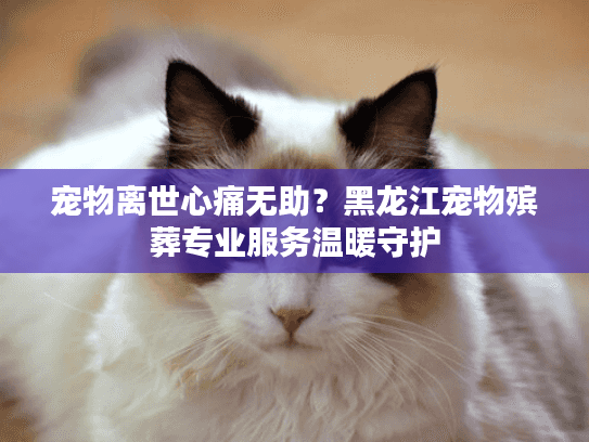 宠物离世心痛无助？黑龙江宠物殡葬专业服务温暖守护