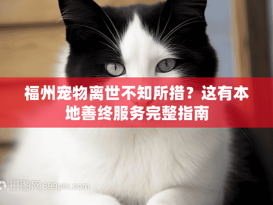 福州宠物离世不知所措？这有本地善终服务完整指南