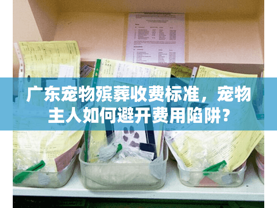 广东宠物殡葬收费标准，宠物主人如何避开费用陷阱？