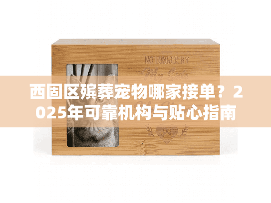 西固区殡葬宠物哪家接单？2025年可靠机构与贴心指南