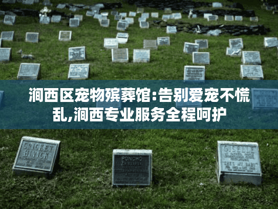 涧西区宠物殡葬馆:告别爱宠不慌乱,涧西专业服务全程呵护