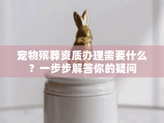 宠物殡葬资质办理需要什么？一步步解答你的疑问