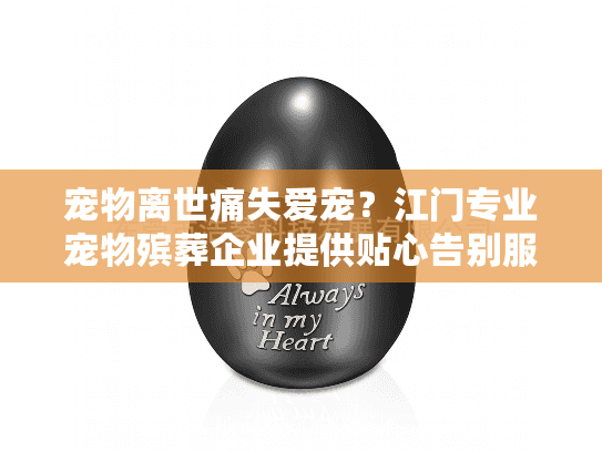 宠物离世痛失爱宠？江门专业宠物殡葬企业提供贴心告别服务