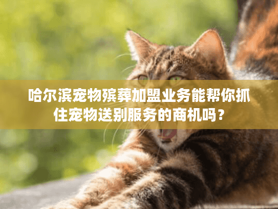 哈尔滨宠物殡葬加盟业务能帮你抓住宠物送别服务的商机吗？