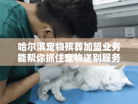 哈尔滨宠物殡葬加盟业务能帮你抓住宠物送别服务的商机吗？