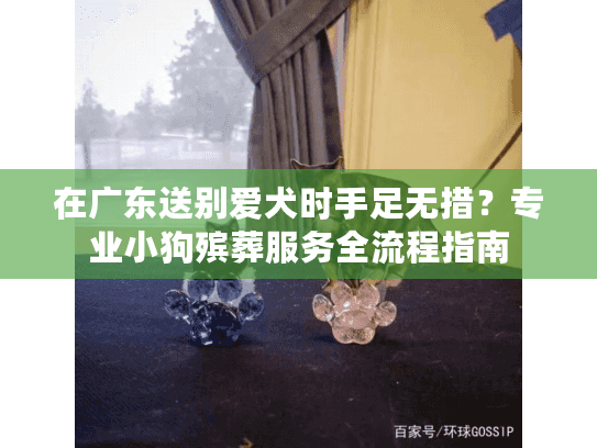 在广东送别爱犬时手足无措？专业小狗殡葬服务全流程指南