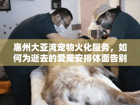 惠州大亚湾宠物火化服务，如何为逝去的爱宠安排体面告别？