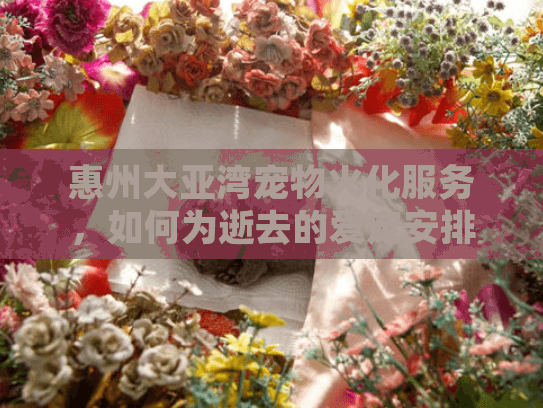惠州大亚湾宠物火化服务，如何为逝去的爱宠安排体面告别？