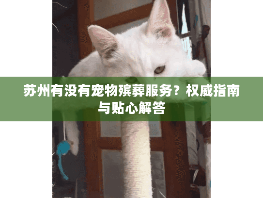 苏州有没有宠物殡葬服务？权威指南与贴心解答