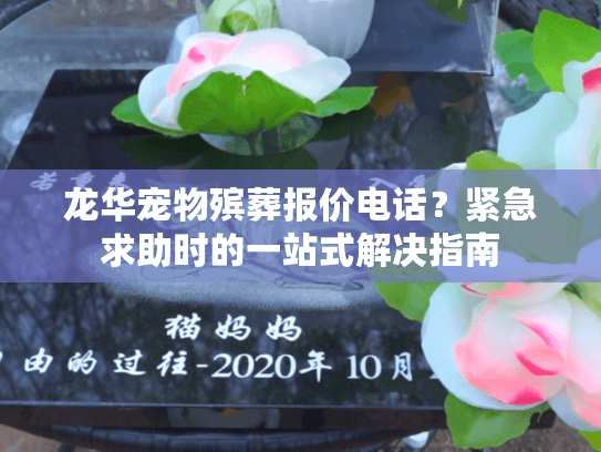 龙华宠物殡葬报价电话？紧急求助时的一站式解决指南