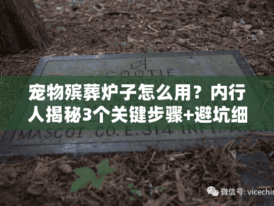 宠物殡葬炉子怎么用？内行人揭秘3个关键步骤+避坑细节（2025环保实测）